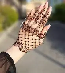 Mesh Mehndi Design