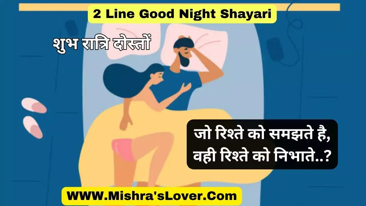 2 Line Good Night Shayari